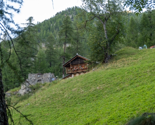 The cabin that can be seen among the trees on the way up