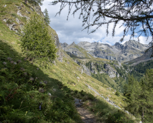 Abandoning the trees, the trail climbs halfway up the hillside