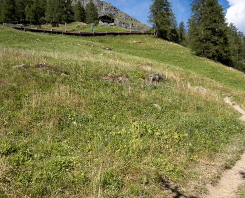 You go up the meadow until you reach the road visible above