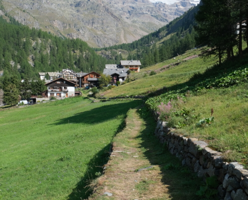The last stretch before turning onto the road