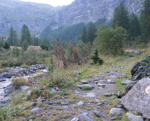 The trail climbs alongside the stream