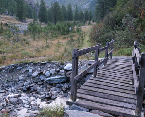 The trail climbs alongside the stream
