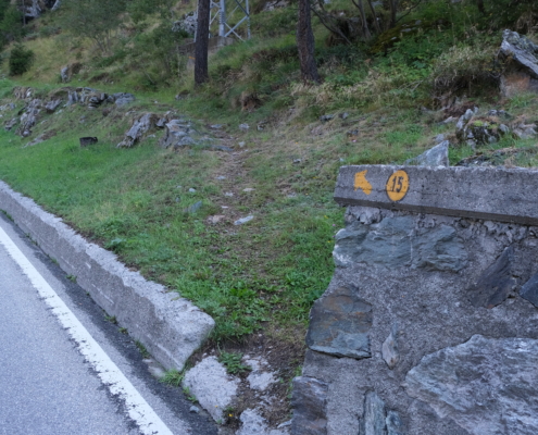The marker indicating Trail 15, which goes uphill through the grass