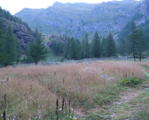 Crossroads