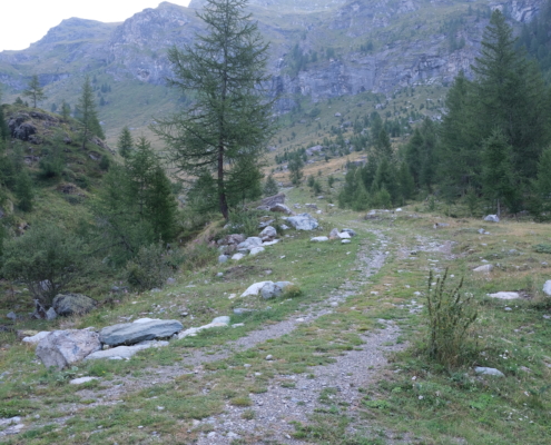 The dirt road