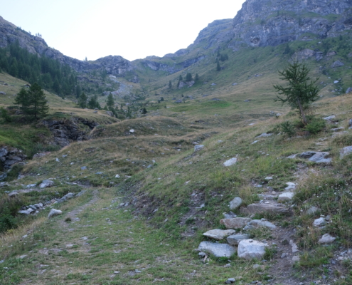 Climb to the right of the small tree