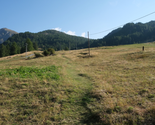 The trail climbs toward Bedemie