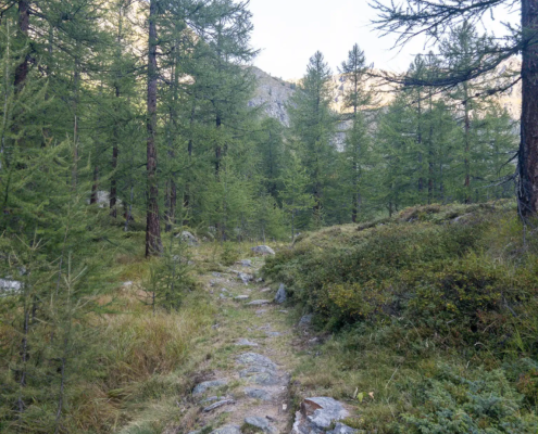 Alla fine del primo gradino