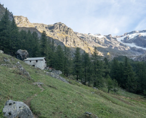 Sécke, 2008m