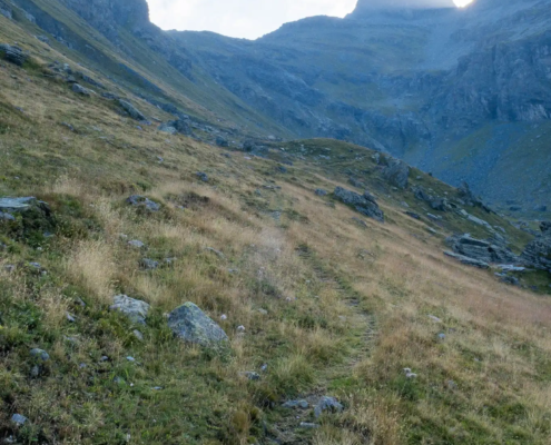 At first, the trail is clearly visible At first, the trail is clearly visible
