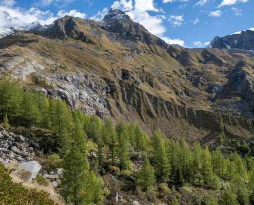 La morena sinistra e un tratto del sentiero 7