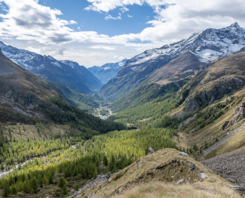 Dall'alto della morena, guardando verso valle